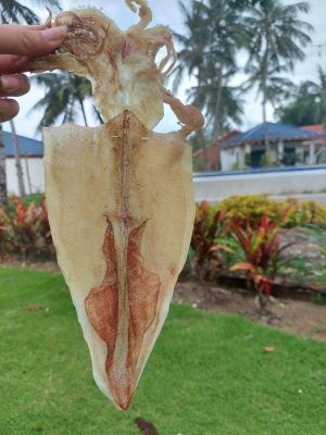Hình ảnh mực khô ngon