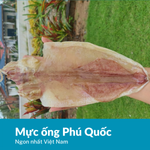 Mực khô Phú Quốc đặc biệt