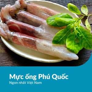 Mực ống Phú Quốc ngon